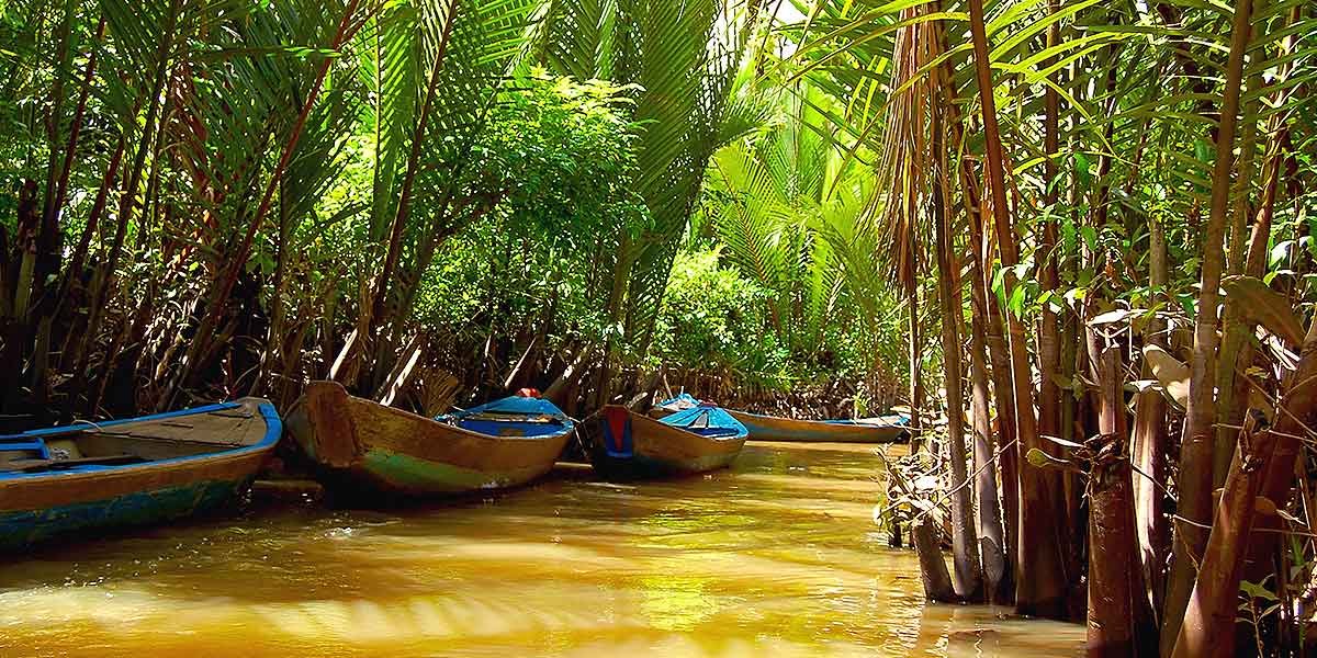 Wooden boats moored along a palm-lined canal in the Mekong Delta