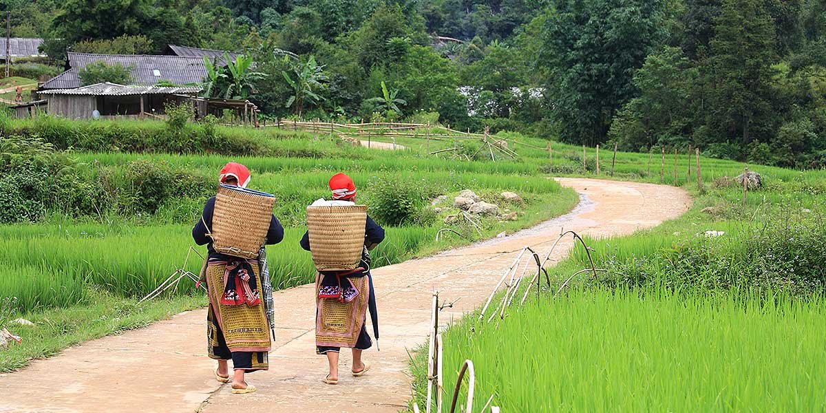 Two women carrying baskets along a path through rice fields in northern Vietnam
