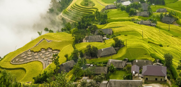 Vietnam