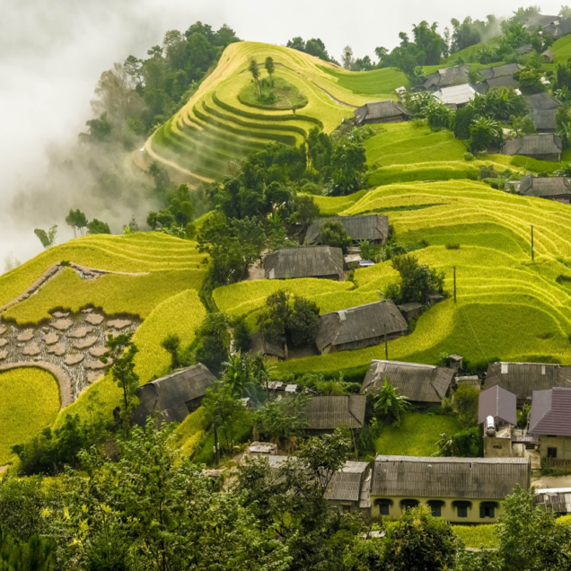 Vietnam Vietnam