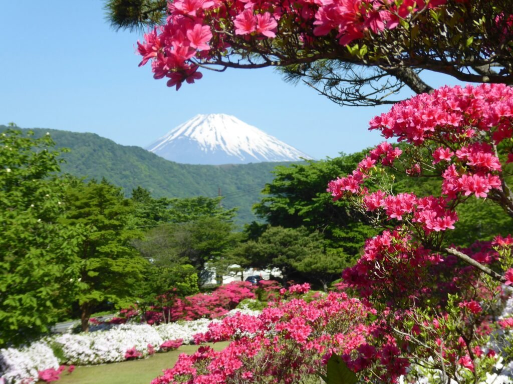 "Discover the beauty of Japan — from cherry blossoms and ancient temples to vibrant cities and Mount Fuji's iconic peak. Join EagleSpirit Travel for an unforgettable small-group journey through Japan's rich culture and stunning landscapes."